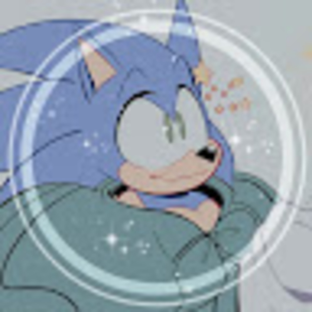 Meet your Posher, Sonic